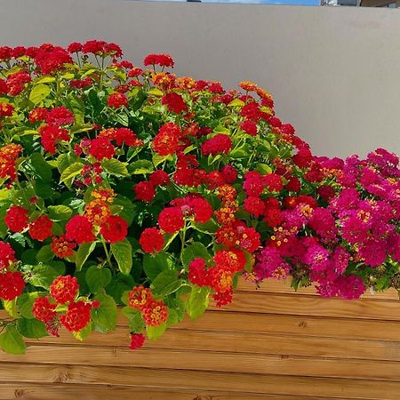 Elegant Apartment In The Heart Of Heraklion 外观 照片
