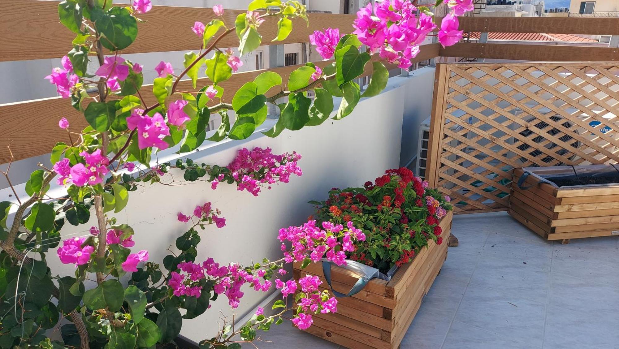 Elegant Apartment In The Heart Of Heraklion 外观 照片
