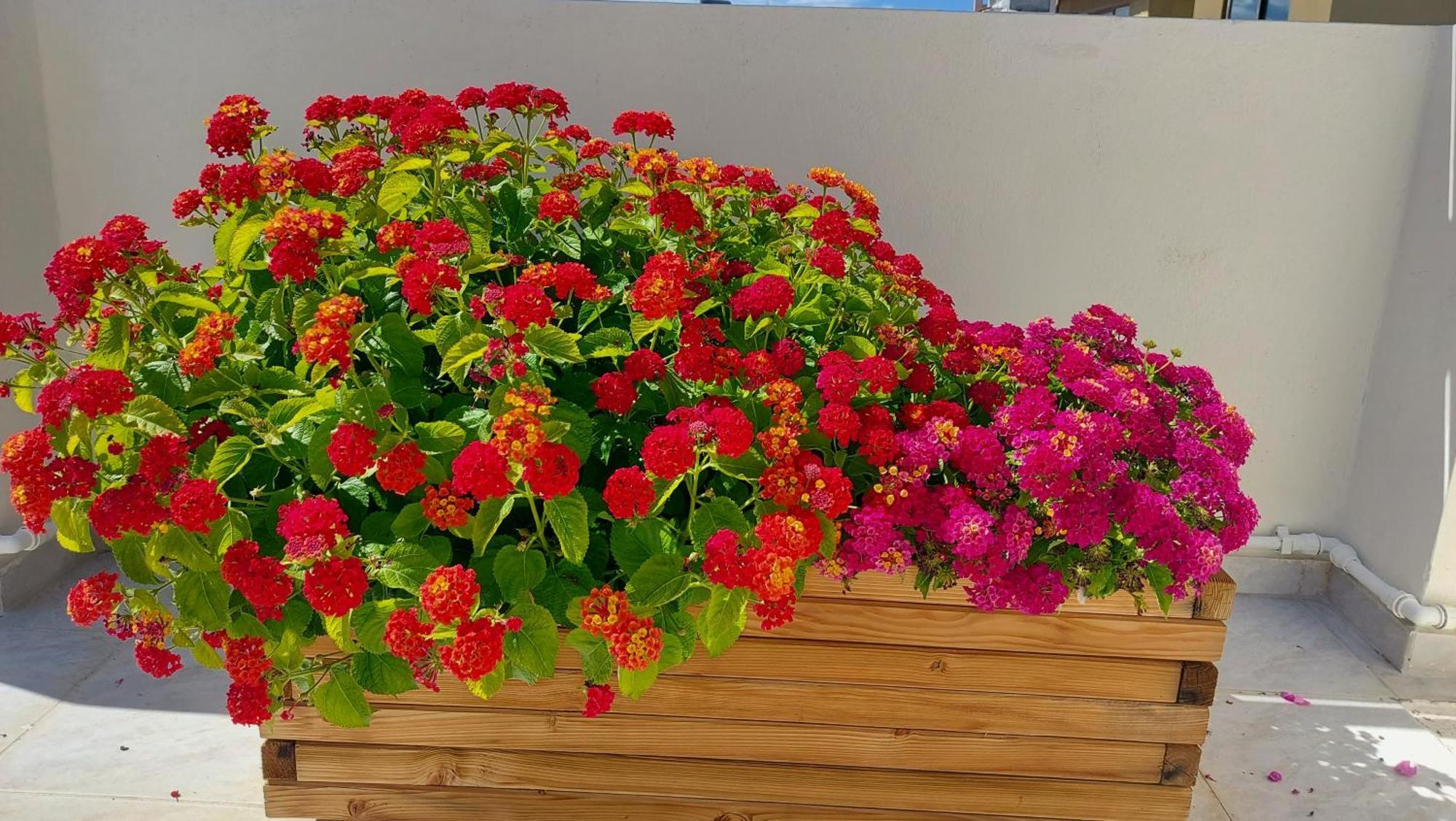 Elegant Apartment In The Heart Of Heraklion 外观 照片